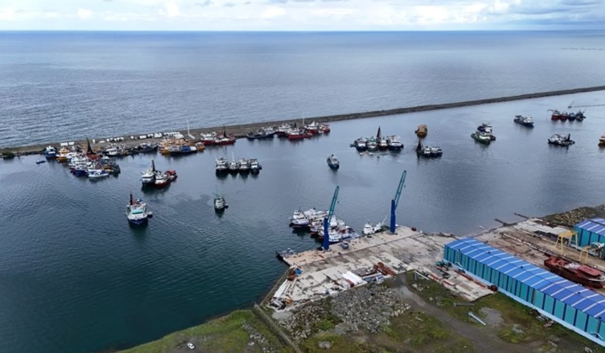 Karadeniz'de dalgaların boyu 5 metreyi aştı! Balıkçı tekneleri limana sığındı