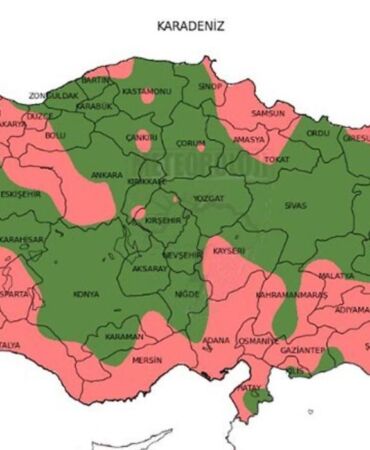 Meteoroloji'den dikkat çeken rapor Ağustos 2024’te neler oldu 1