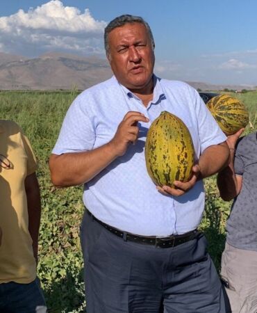 Niğde'de kavun üreticileri isyan etti 'Borcumuz var, traktör satılırsa traktörü, tarla satılırsa tarlayı satacağız'
