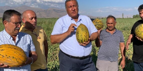Niğde’de kavun üreticileri isyan etti: ‘Borcumuz var, traktör satılırsa traktörü, tarla satılırsa tarlayı satacağız’