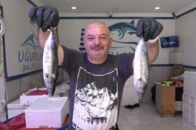 Rize'ye bereket yağıyor 6 tanesi100 TL'den satılıyor!