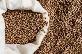 Safra kesesini temizliyor, tıkalı damarları açıyor! Kolesterole karşı doğal mucize