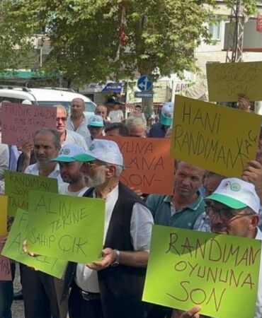 Samsun Ayvacık'ta fındık eylemi 'Altı ayaklı kokarcanın veremediği zararı, iki ayaklı fırsatçı verdi'