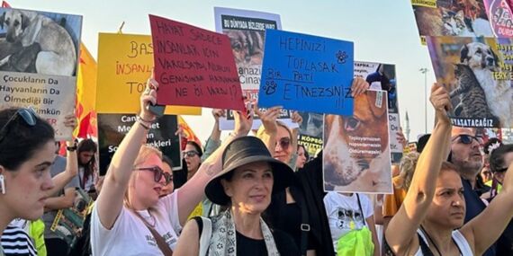 Hayvan cinayetleri, politik katliamdır!