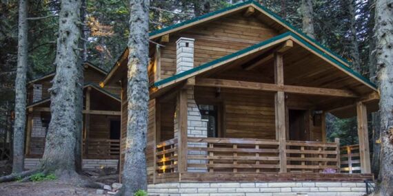 Devlete ait ormana ev yapan yandı; yıkacaklar!