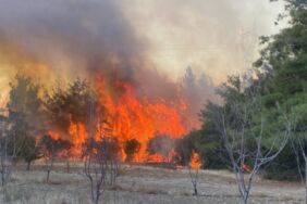 Çanakkale’de ormanlık alanda yangın! Ekipler müdahale ediyor