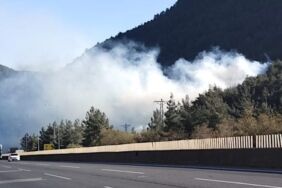 Mersin'de ormanlık alanda yangın! Müdahale ediliyor