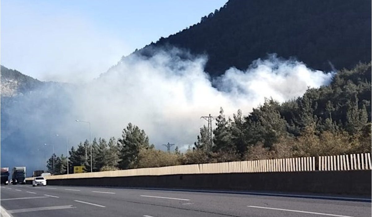 Mersin'de ormanlık alanda yangın! Müdahale ediliyor