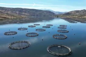 Rusya yolcusu… Sivas'ta hasadı başladı