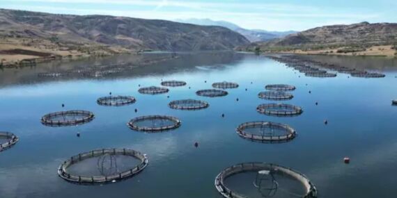 Rusya yolcusu… Sivas’ta hasadı başladı