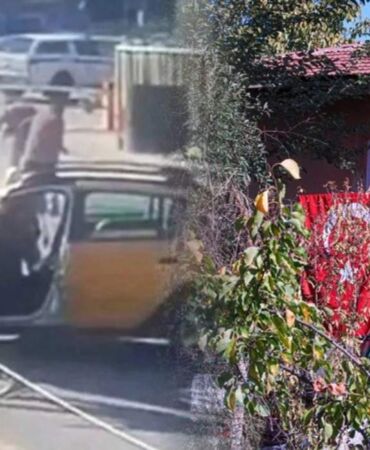 Şehit edilen taksi şoförünün yakınları konuştu 'Televizyondan öğrendik'