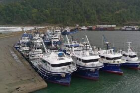 Sinop'taki balıkçı tekneleri limana sığındı