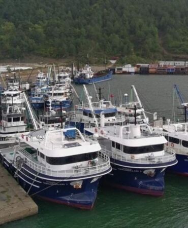 Sinop'taki balıkçı tekneleri limana sığındı
