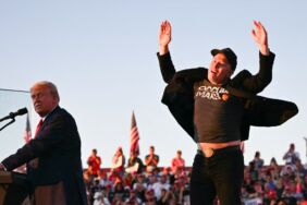 elon musk donald trump