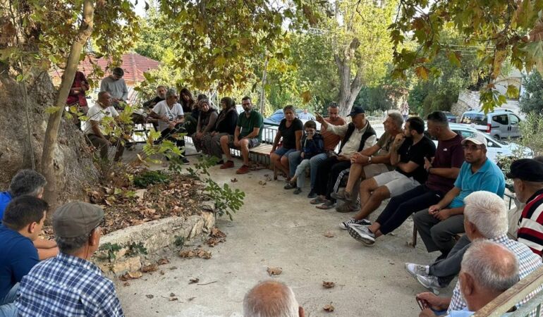 antalya orman