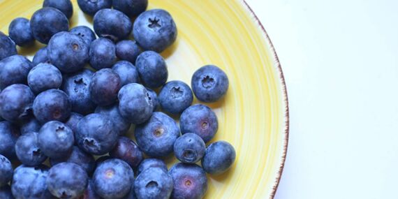 Mavi yemişin inanılmaz faydaları: Kanser ve kalp hastalıklarına karşı etkili