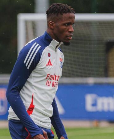 wilfired zaha