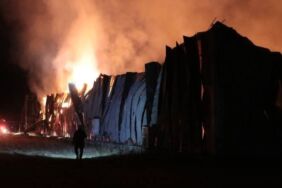 12 saattir yanan Kayseri'deki mantar üretim tesisinde son durum!