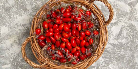 Bağışıklığı güçlendiren doğal mucize… Kuşburnu faydaları nelerdir? Kuşburnu hangi hastalıklara iyi gelir?