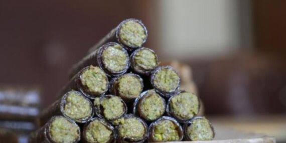 Gümüşhane’den dünya pazarına: ‘Dubai pestili’ yoğun ilgi görüyor!