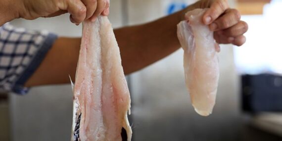 Kilosu 750 lirayı bulan mezgite ‘zehir’ uyarısı!