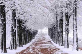 Prof. Dr. Doğan Yaşar uyardı 2024 kışı sert geçecek