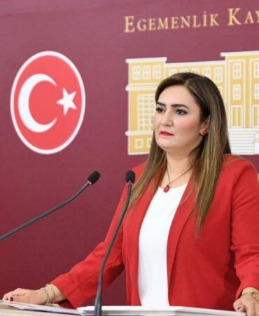 sevda erdan kılıç