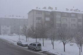 Bitlis’te yoğun sis nedeniyle görüş mesafesi düştü