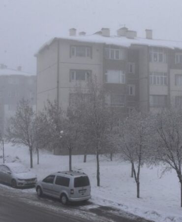 Bitlis’te yoğun sis nedeniyle görüş mesafesi düştü