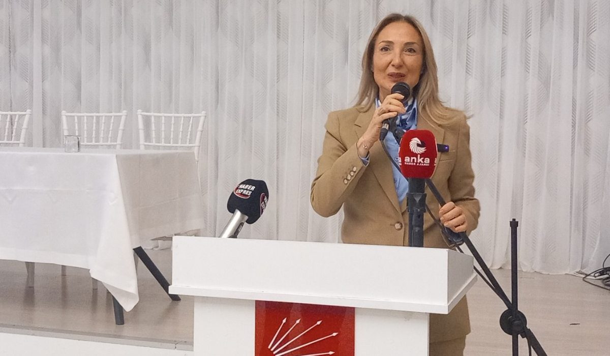 CHP’li genel başkan yardımcısı Aylin Nazlı Aka 'En derinlikli, en detaylı, en analitik rapor…