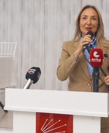 CHP’li genel başkan yardımcısı Aylin Nazlı Aka 'En derinlikli, en detaylı, en analitik rapor…