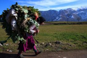 Ekoloji, Kadınlar ve Yurtseverlik