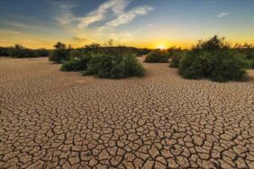 İklim krizini “yeşil kapitalizm” ile çözmek