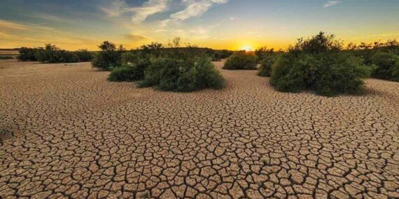 Türkiye’nin ilk iklim yasası TBMM’de; ağır cezalar var!