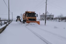 Kar yağışı hayatı olumsuz etkiledi Bitlis'te 107 köy ve mezra yolu tekrar ulaşıma açıldı