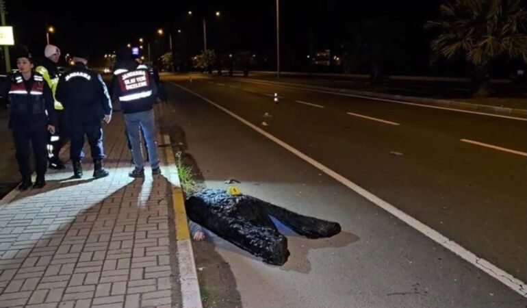 Kardeşini korumak isterken canından oldu