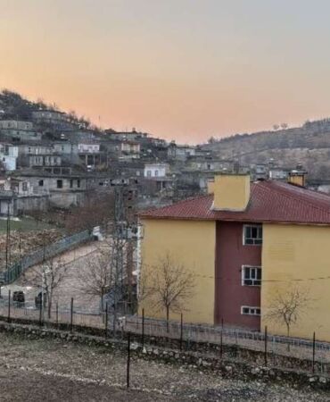 O köyde kuduz alarmı... Karantinaya alındı