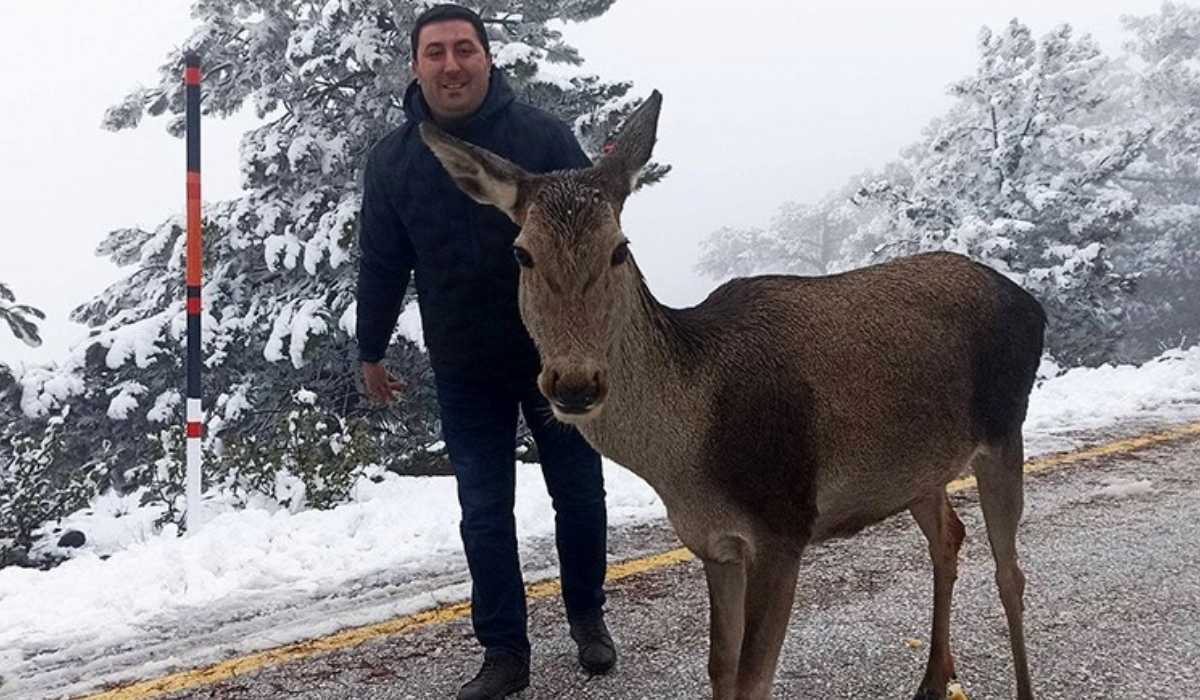 Salda’da karşılarına çıkan kızılgeyiği besledirler