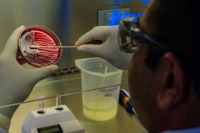 Tedavisi zor 'süper bakteri' alarmı Ukrayna’da endişe veren artış!