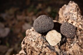 Trüf mantarıyla hazırlanabilecek lezzet şölenleri