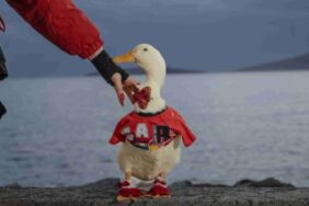 'Zeze'ye evladı gibi bakıyor... (2)