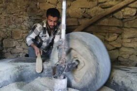 150 yıllı değirmende geleneksel üretim Hizan'ın pirinçleri Türkiye'ye ulaşıyor!