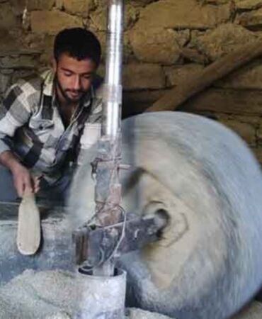 150 yıllı değirmende geleneksel üretim Hizan'ın pirinçleri Türkiye'ye ulaşıyor!
