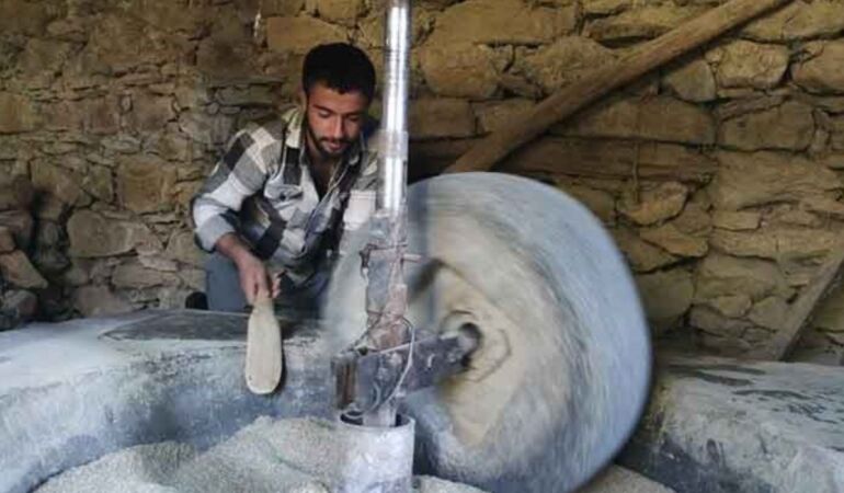 150 yıllı değirmende geleneksel üretim Hizan'ın pirinçleri Türkiye'ye ulaşıyor!