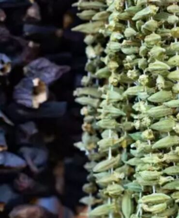 Bağırsakları çalıştırıyor, kemikleri güçlendiriyor, doğal tansiyon ilacı!