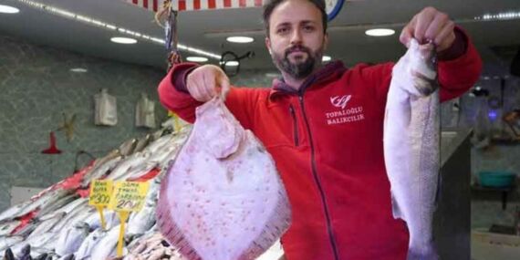 Hamsiye iki rakip: Mezgit ve istavrit 70 TL’den satışta!