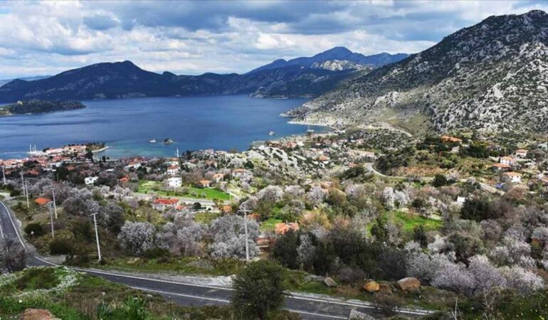 Belediye Başkanı’ndan tsunami açıklaması!