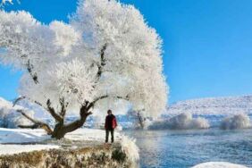 Ovacık beyaza büründü İşte büyüleyen manzara...