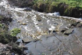 Saranlı Deresi'nin rengi değişti, köpük oluştu!