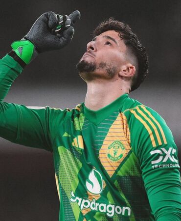 altay bayındır